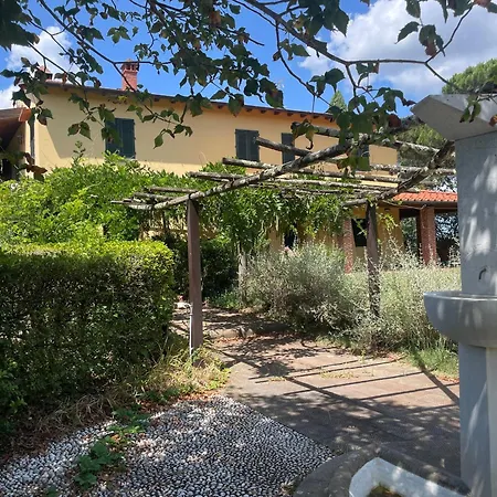 Holiday home Olea Sant'Ellero
