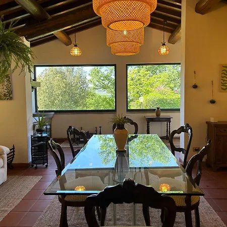 Olea Holiday home