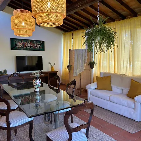 Olea Holiday home *