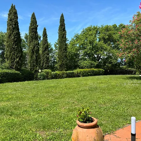 Olea