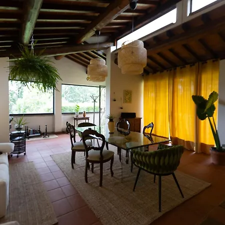 Olea Holiday home