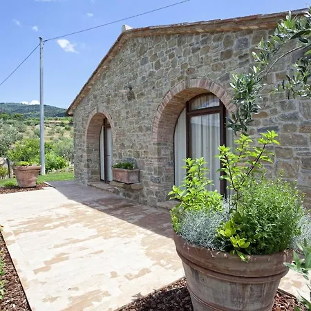Olea